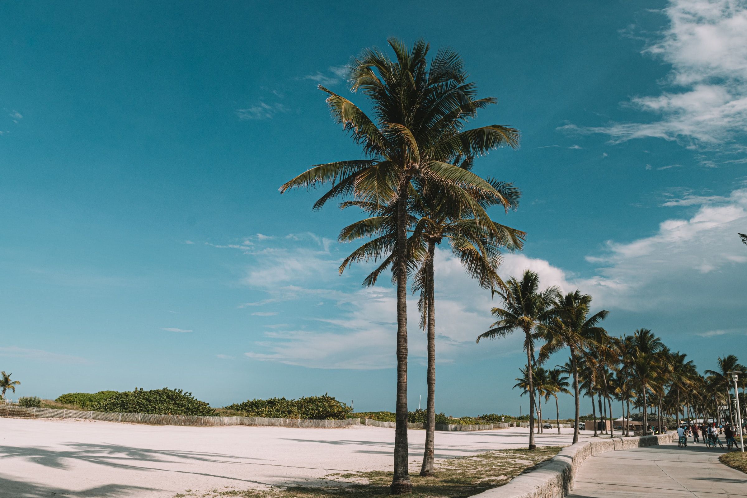 A Journey of Calypso Rhythms and Coconut Breezes